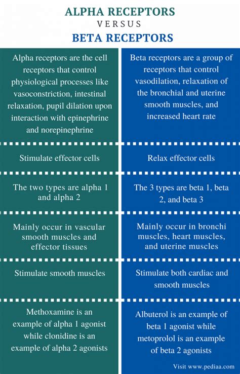 Difference Between Alpha and Beta Receptors .